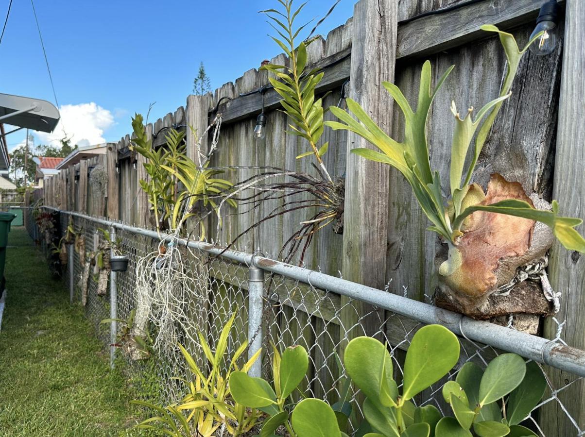 Miami'S Cozy Tropical Getawayヴィラ エクステリア 写真